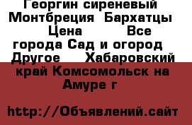 Георгин сиреневый. Монтбреция. Бархатцы.  › Цена ­ 100 - Все города Сад и огород » Другое   . Хабаровский край,Комсомольск-на-Амуре г.